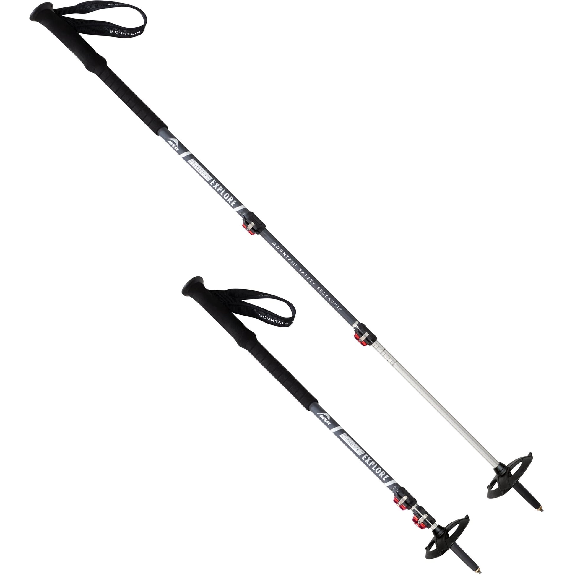 DynaLock Explore Poles