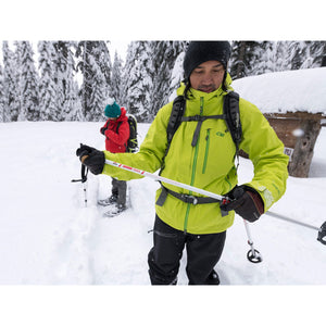 DynaLock Trail Poles
