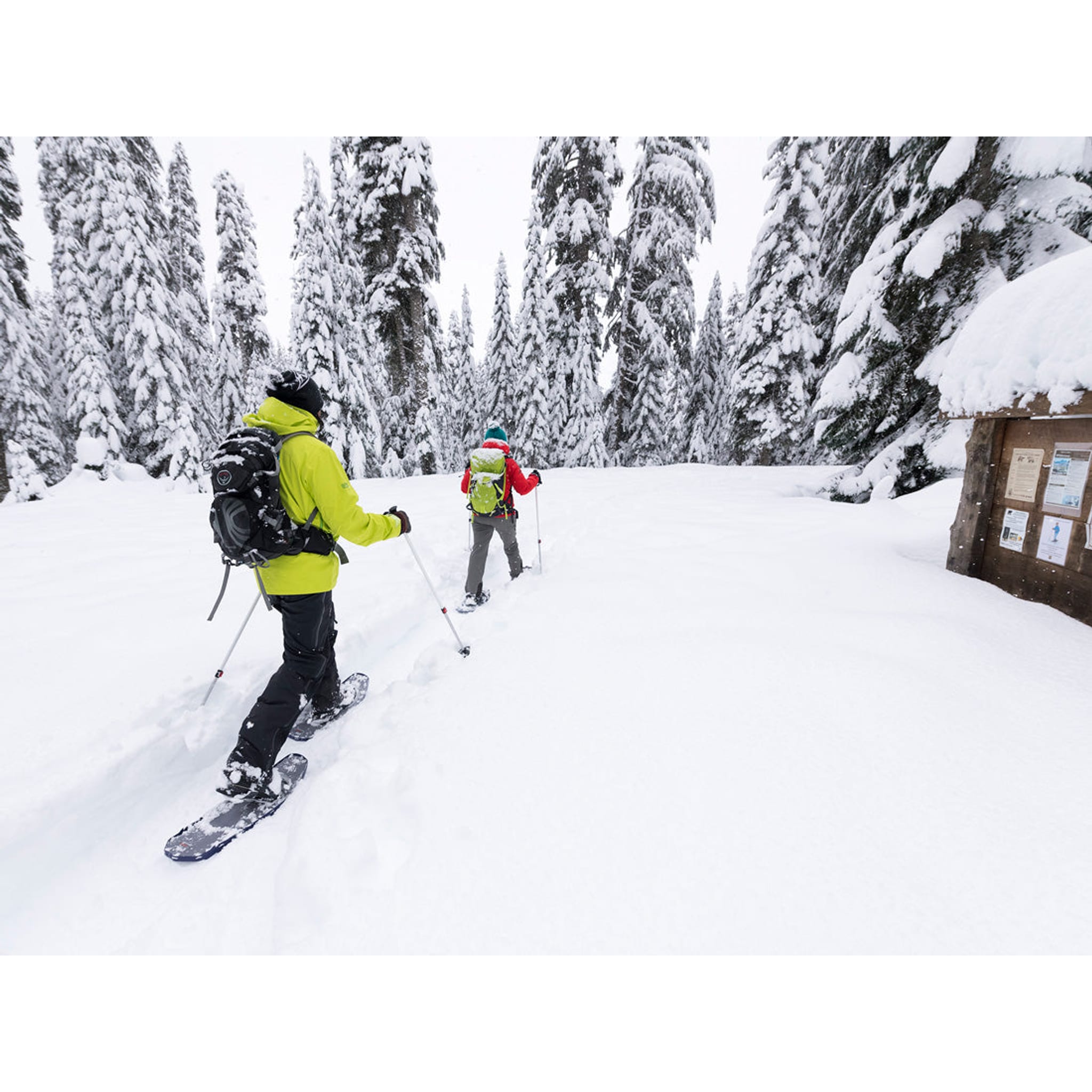 DynaLock Trail Poles