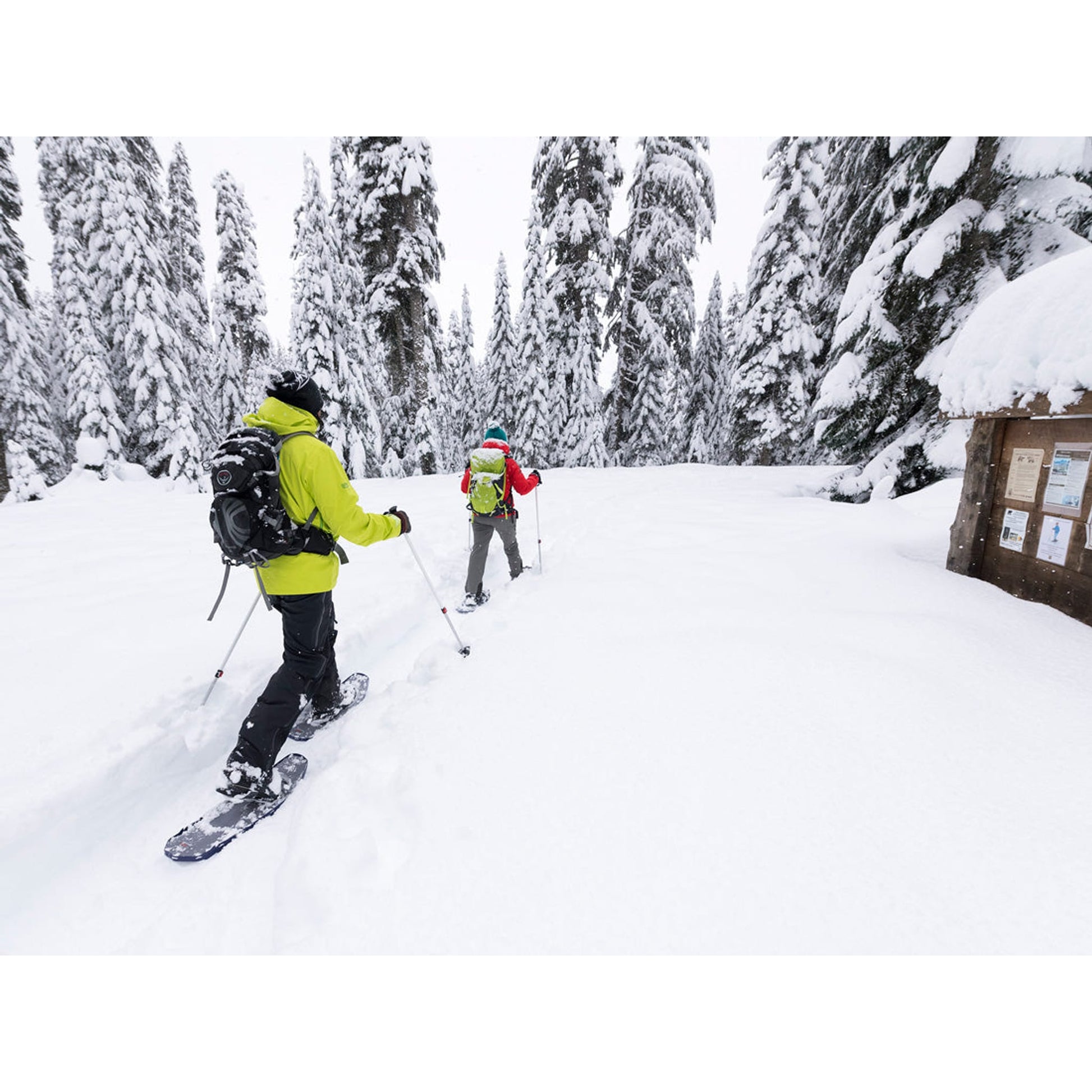 DynaLock Trail Poles
