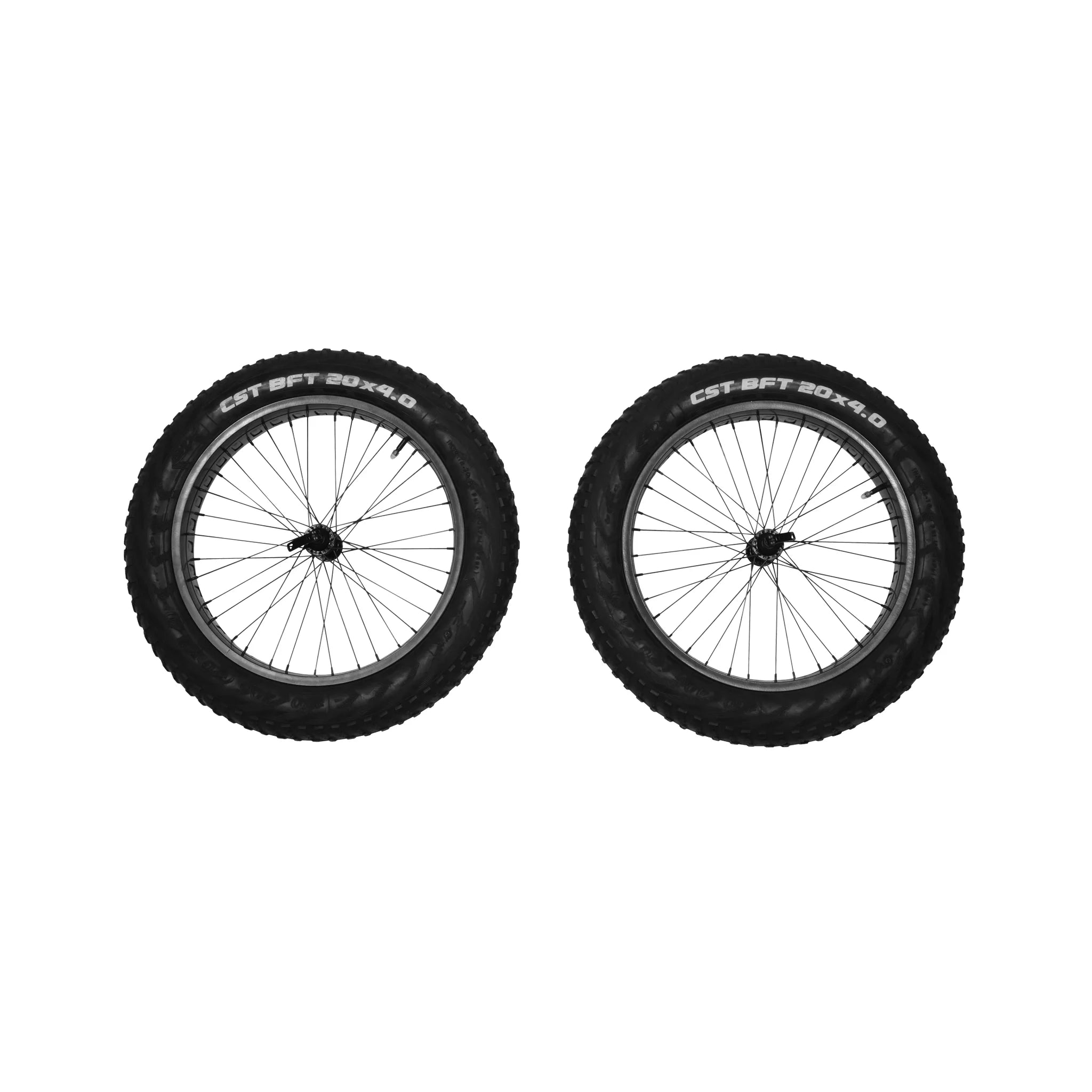 Thule Reacha 20" Fat tire wheel set – 10101415 – Produktbild 1