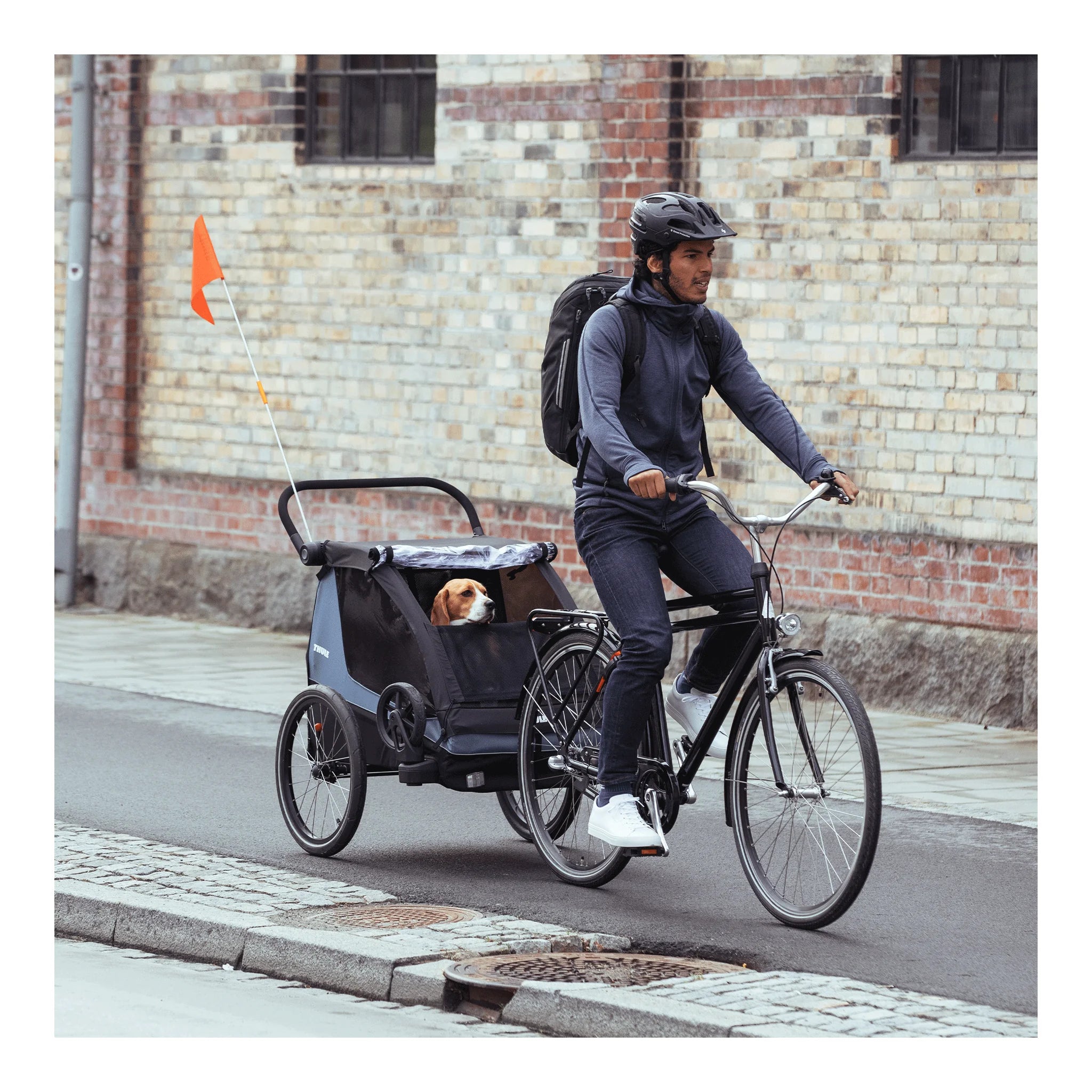 Thule Thule Courier- Dog Kit – 20301001 – Produktbild 10