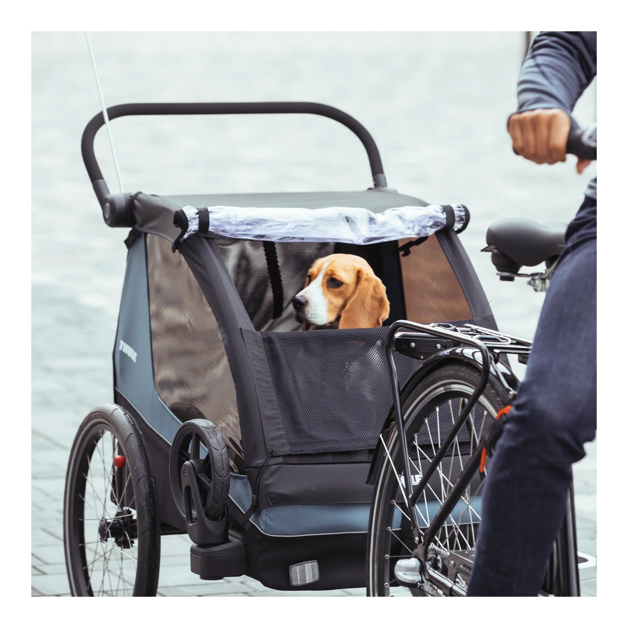 Thule Thule Courier- Dog Kit – 20301001 – Produktbild 11