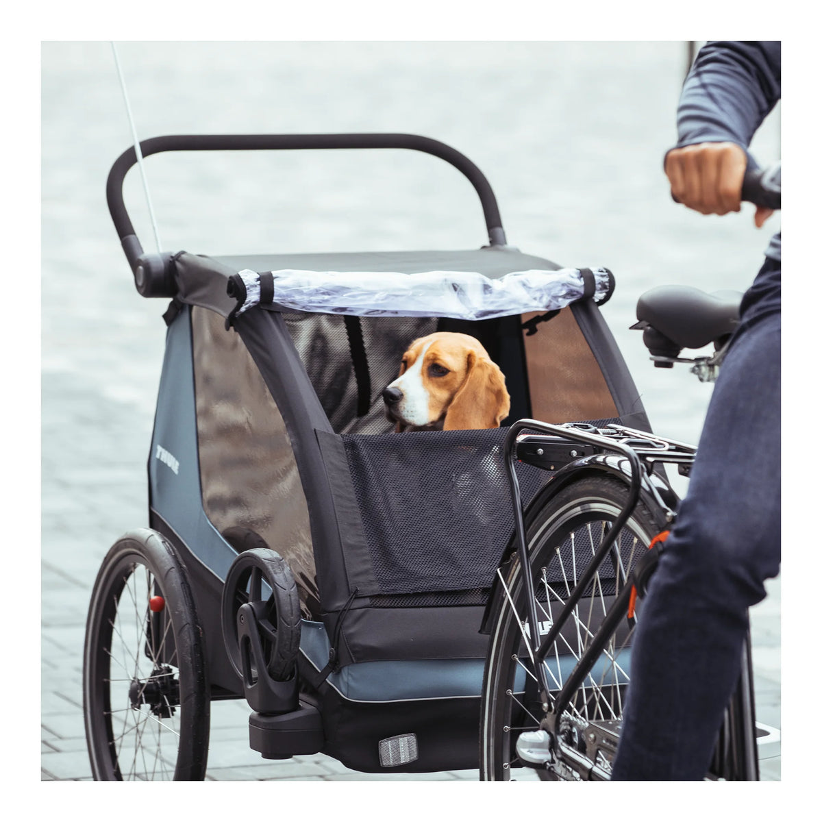 Thule Thule Courier- Dog Kit – 20301001 – Produktbild 11