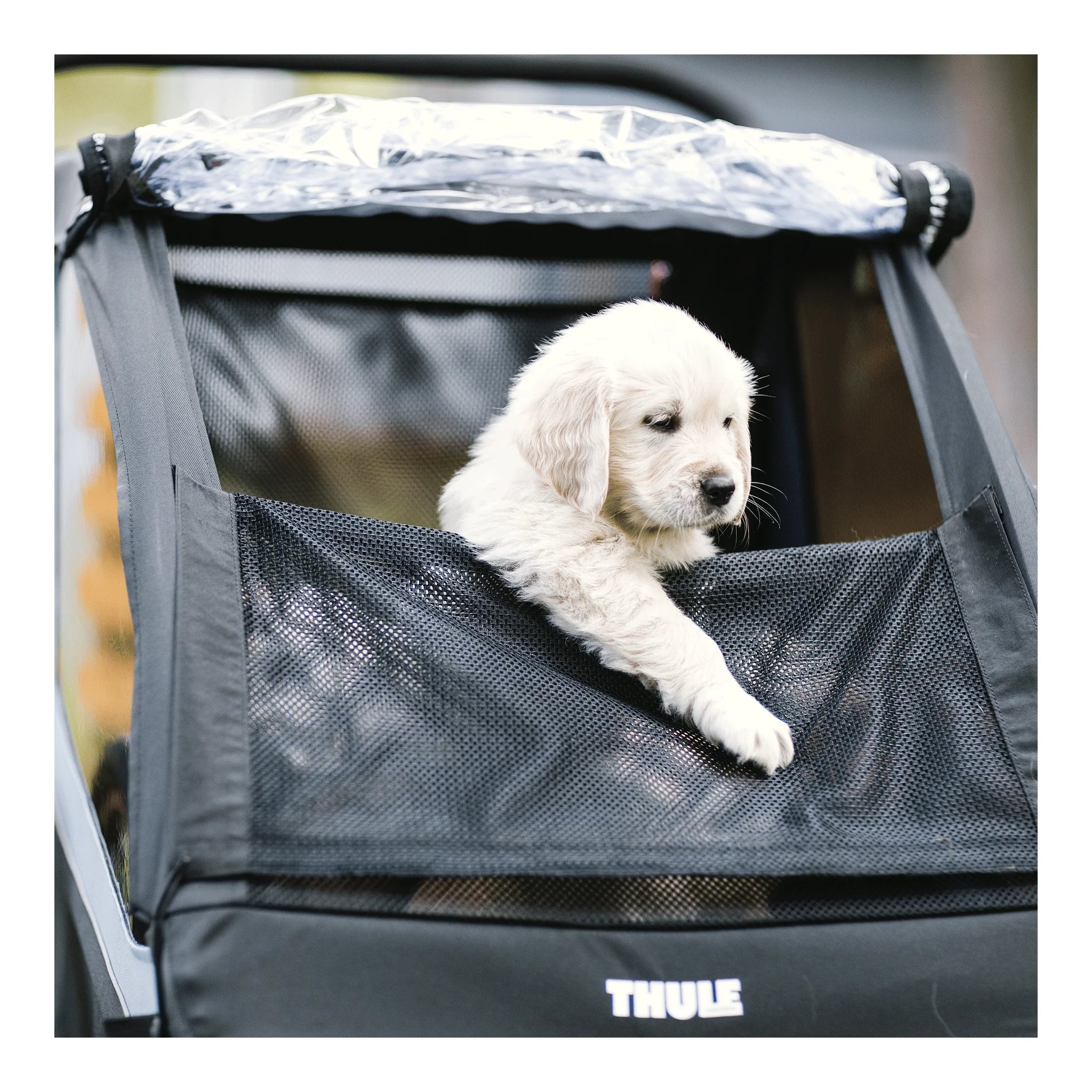 Thule Thule Courier- Dog Kit – 20301001 – Produktbild 12