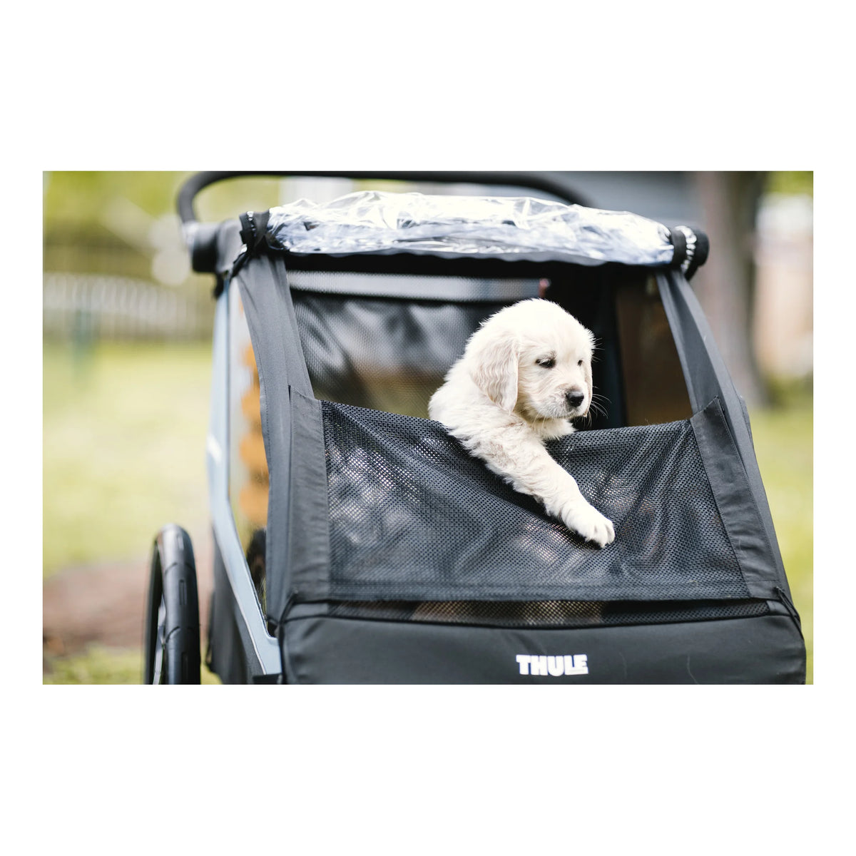 Thule Thule Courier- Dog Kit – 20301001 – Produktbild 6