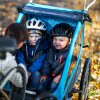 Thule Coaster XT bike trailer+Stroll Basil/ Mallard Green