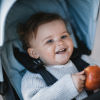 Thule Stroller Seat Liner Alaska
